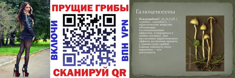 Галлюциногенные грибы Magic Shrooms  ОМГ ОМГ   Светогорск 